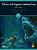 Livro Vinte Mil Leguas Submarinas - Imagem 1
