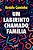 Livro Um labirinto chamado família - Imagem 1