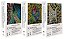 Livro Do Roraima ao Orinoco - 3 volumes: Resultados de um... - Imagem 1
