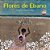 Livro Flores De Ébano - Imagem 1