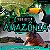 Livro Biomas Do Brasil - Tudo Sobre A Amazônia - Imagem 1