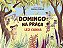 Livro Domingo na praça - Imagem 1