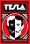 Livro Tesla: A vida e a loucura do gênio que iluminou o m... - Imagem 1