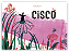 Livro Cisco - Imagem 1
