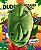 Livro Livro Fantoche - Dudu, o dinossauro perdido - Imagem 1