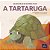 Livro A Tartaruga - Imagem 1