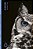 Livro Animais - Imagem 1