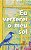 Livro Eu Verterei O Meu Sol - Imagem 1