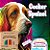 Livro Cocker Spainel - Imagem 1