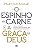 Livro O espinho na carne e a graça de Deus: Como as piore... - Imagem 1