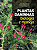 Livro Plantas daninhas: biologia e manejo (Volume 1) - Imagem 1