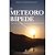 Livro O Meteoro Bípede: Crônica Sonora Do Silencioso Mass... - Imagem 1