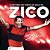 Livro A história de todos os gols de zico - Imagem 1