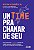 Livro Um Time Pra Chamar De Seu - Imagem 1