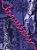 Livro Lovistori - Imagem 1