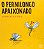 Livro O Pernilongo Apaixonado - Imagem 1