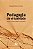 Livro Pedagogia Da Virtualidade - Redes, Cultura Digital ... - Imagem 1