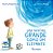 Livro Uma Mentira Grande Como Um Elefante - Imagem 1