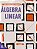 Livro Álgebra Linear - Imagem 1