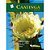 Livro Caatinga   2. Ed - Imagem 1