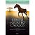 Livro Cento e quatro cavalos - Imagem 1