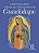 Livro Novena de nossa senhora de guadalupe - Imagem 1