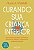 Livro Curando sua criança interior - Imagem 1
