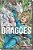 Livro Caçando Dragões - Vol. 3 - Imagem 1