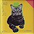 Livro Cansei de Ser Gato - Imagem 1