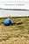 Livro Os arqueólogos - Imagem 1