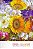 Livro Pop Cards - Serie Flores E Natureza Morta - Imagem 1