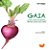Livro Gaia, O Lado Oculto Das Plantas - Imagem 1