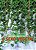 Livro O sexo vegetal - Imagem 1