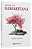 Livro Jesus E A Samaritana - Imagem 1
