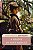 Livro A abadia de northanger (Edição de bolso) - Imagem 1