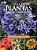 Livro Guia de plantas para uso paisagístico: Canteiros & ... - Imagem 1