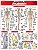 Livro Anatomia - Imagem 1