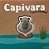 Livro Coleção Som e Diversão - Capivara - Imagem 1