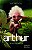 Livro Arthur e os minimoys (Volume 1) - Imagem 1