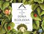 Livro A gargalhada de alegria de Dona Ecologia - Imagem 1