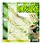 Livro Dinossauros - Imagem 1