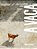 A vaca - Imagem 1