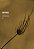 Istmo - Imagem 1