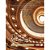 Theatro Municipal do Rio de Janeiro: um século em cartaz - Imagem 1