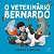 O Veterinário Bernardo - Imagem 1