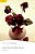 Lost Love And Other Stories - Col. Penguin - 2 - Imagem 1