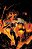 Absolute Flash 03 - Imagem 1