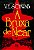 Livro A Bruxa De Near - Imagem 1