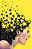 Livro Mulher-Maravilha/Flash 10 - Imagem 1