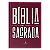 Livro Bíblia Nvi, Capa Dura, Vinho, Econômica, Pedra Angu... - Imagem 1